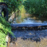 โครงการน้ำดีไล่น้ำเสีย