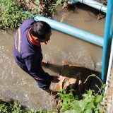 โครงการน้ำดีไล่น้ำเสีย