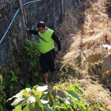 โครงการน้ำดีไล่น้ำเสีย