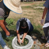  กิจกรรมรณรงค์/ป้องกันโรคไวรัสโควิด-๑๙ และโรคไข้เลือดออก