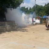 โครงการรณรงค์ป้องกันโรค 3 โรค โรคไข้เลือดออก ฯลฯ