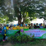 เทศบาลตำบลแม่อายจัดกิจกรรมวันต้นไม้ประจำปีของชาติ พ.ศ. 2563