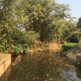 เทศบาลตำบลแม่อายร่วมกับประชาชนบ้านโห้งหลวง ร่วมกันพัฒนาฝายกลางบ้าน หมู่ที่ 7 ตำบลแม่อาย