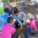 เทศบาลตำบลแม่อายออกพื้นที่ให้บริการฉีดวัคซีนป้องกันโรคพิษสุนัขบ้า ประจำปี ๒๕๖๓ 