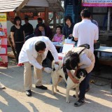 โครงการรณรงค์และป้องกันโรคพิษสุนัขบ้า ประจำปีงบประมาณ 2560