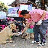 โครงการรณรงค์และป้องกันโรคพิษสุนัขบ้า ประจำปีงบประมาณ 2560