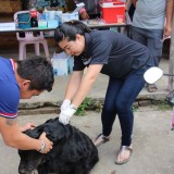 โครงการรณรงค์และป้องกันโรคพิษสุนัขบ้า ประจำปีงบประมาณ 2560