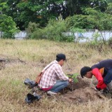 โครงการปลูกต้นไม้เพิ่มพื้นที่สีเขียวในเขตเทศบาลตำบลแม่อาย