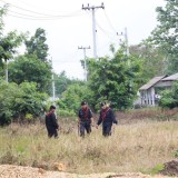 โครงการปลูกต้นไม้เพิ่มพื้นที่สีเขียวในเขตเทศบาลตำบลแม่อาย