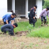 โครงการปลูกต้นไม้เพิ่มพื้นที่สีเขียวในเขตเทศบาลตำบลแม่อาย