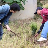 โครงการปลูกต้นไม้เพิ่มพื้นที่สีเขียวในเขตเทศบาลตำบลแม่อาย