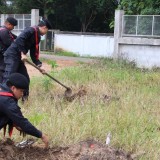 โครงการปลูกต้นไม้เพิ่มพื้นที่สีเขียวในเขตเทศบาลตำบลแม่อาย