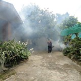 โครงการรณรงค์ป้องกันโรคไข้เลือดออกและโรคติดต่ออื่น ๆ 2559