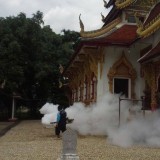 โครงการรณรงค์ป้องกันโรคไข้เลือดออกและโรคติดต่ออื่น ๆ 2559