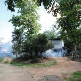 โครงการรณรงค์ป้องกันโรคไข้เลือดออกและโรคติดต่ออื่น ๆ 2559