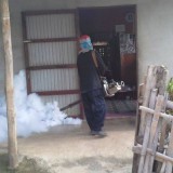 โครงการรณรงค์ป้องกันโรคไข้เลือดออกและโรคติดต่ออื่น ๆ 2559