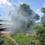 โครงการรณรงค์ป้องกันโรคไข้เลือดออกและโรคติดต่ออื่น ๆ 2559