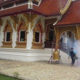 โครงการรณรงค์ป้องกันโรคไข้เลือดออกและโรคติดต่ออื่น ๆ 2559