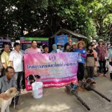 โครงการรณรงค์ป้องกันโรคไข้เลือดออกและโรคติดต่ออื่น ๆ 2559