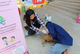 โครงการรณรงค์และป้องกันโรคพิษสุนัขบ้า ประจำปีงบประมาณ 2560